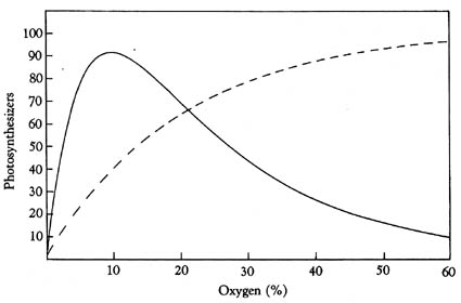 oxygenlevel.jpg (16862 bytes)