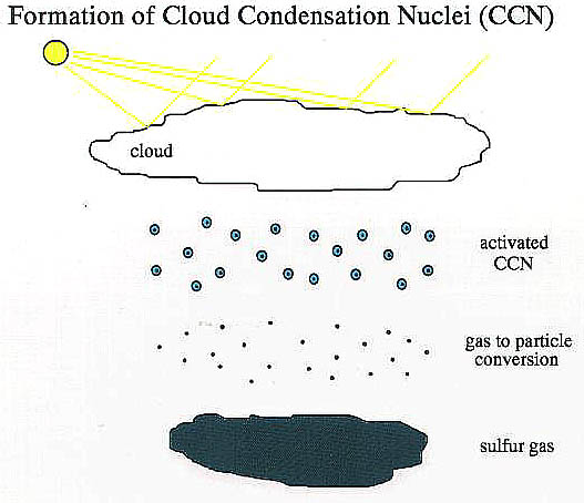 sulfur_cloud_condensation.jpg (47683 bytes)