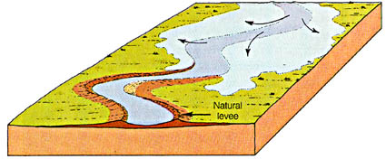 formation of a meander