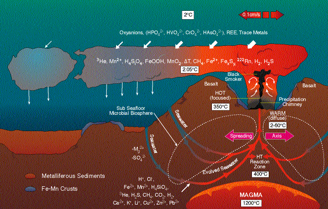 hydrothermal vents food web